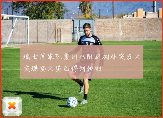 瑞士国家队集训地附近树林突发火灾现场火势已得到控制