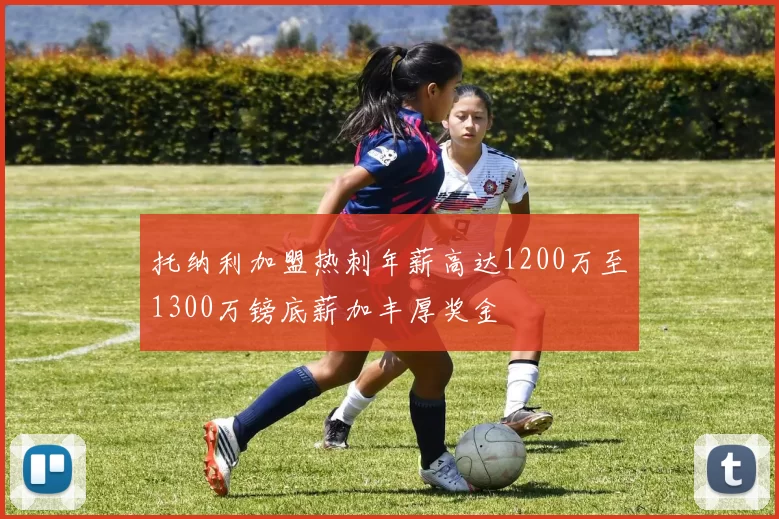 托纳利加盟热刺年薪高达1200万至1300万镑底薪加丰厚奖金